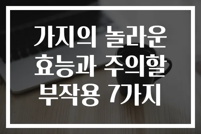 가지의 놀라운 효능과 주의할 부작용 7가지