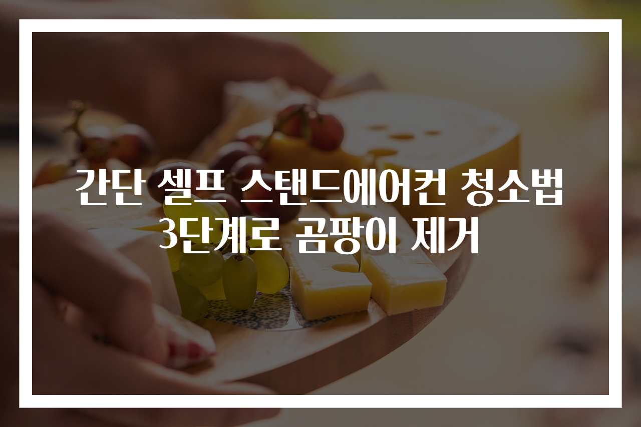간단 셀프 스탠드에어컨 청소법 3단계로 곰팡이 제거