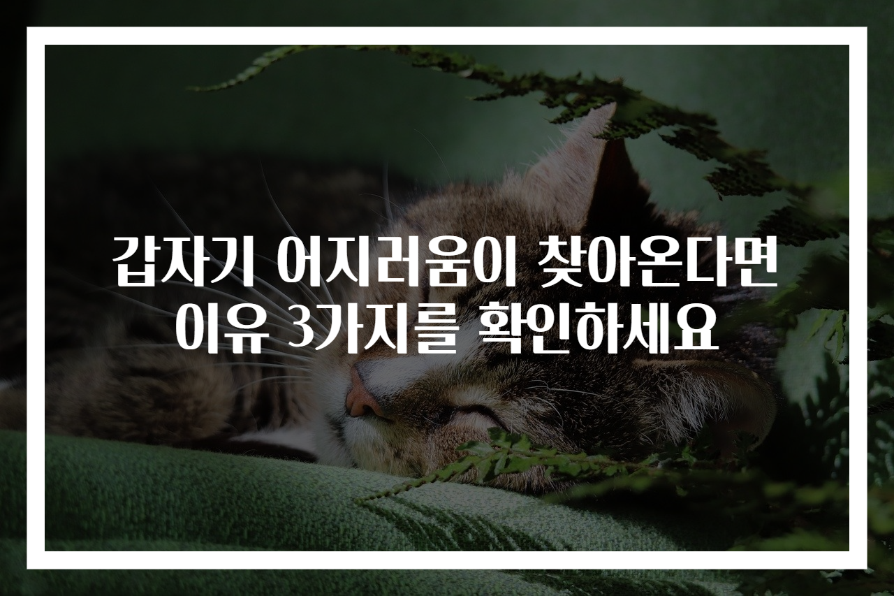 갑자기 어지러움이 찾아온다면 이유 3가지를 확인하세요