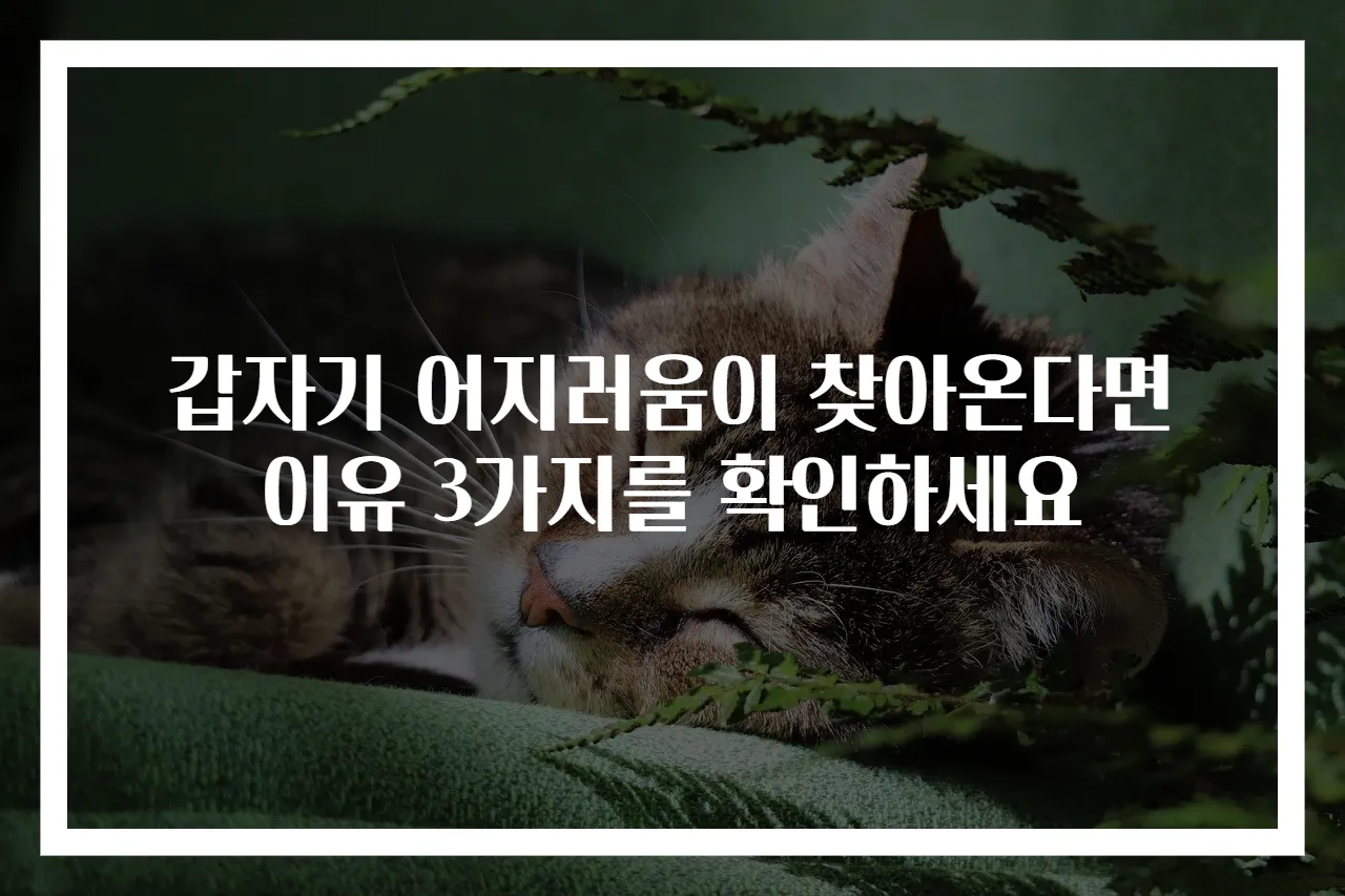 갑자기 어지러움이 찾아온다면 이유 3가지를 확인하세요