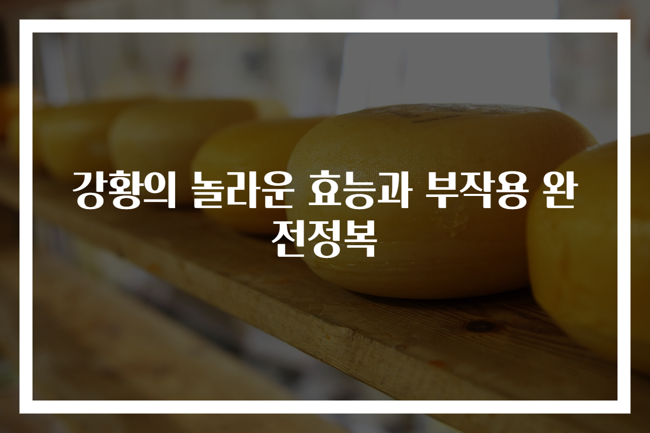 강황의 놀라운 효능과 부작용 완전정복