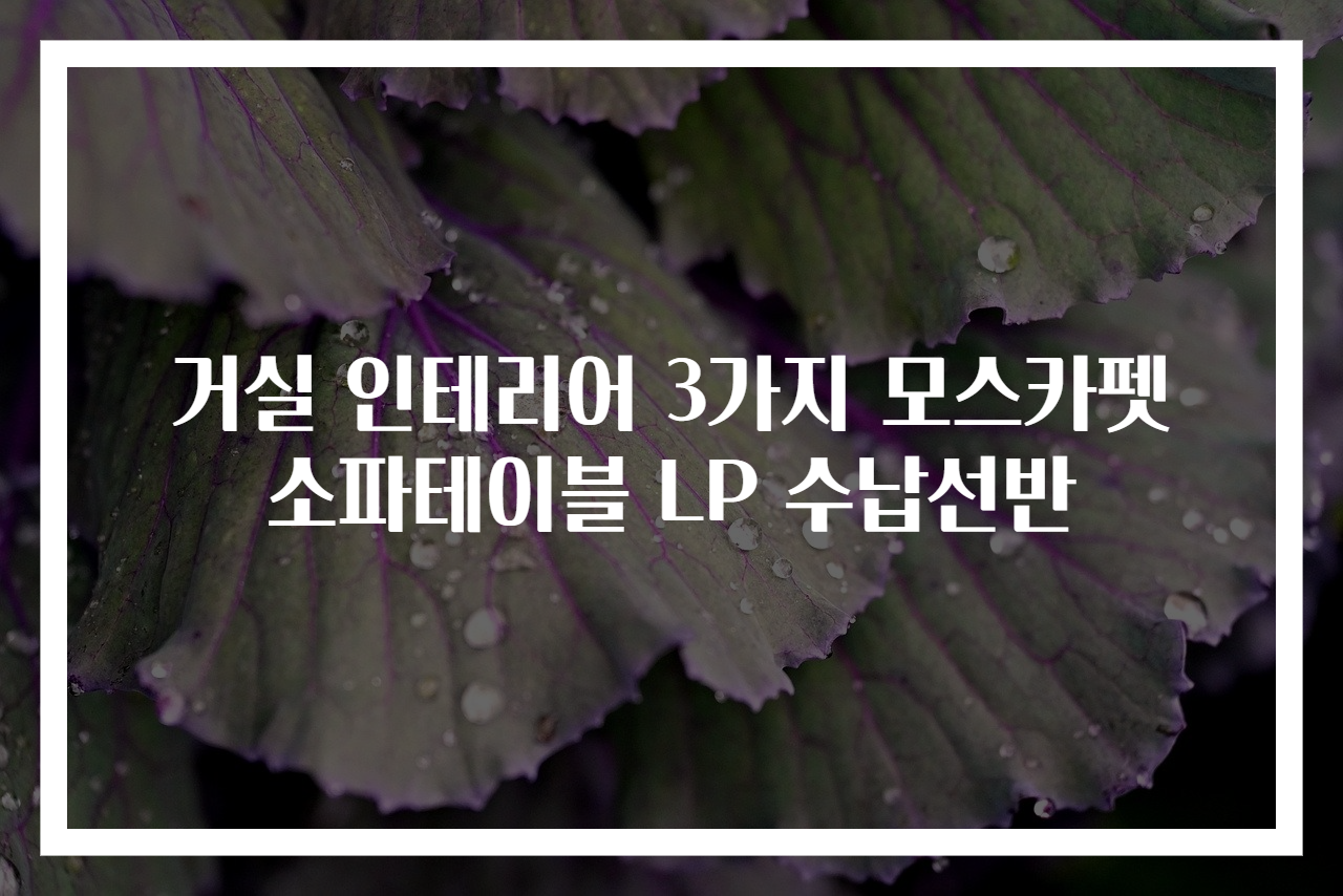 거실 인테리어 3가지 모스카펫 소파테이블 LP 수납선반