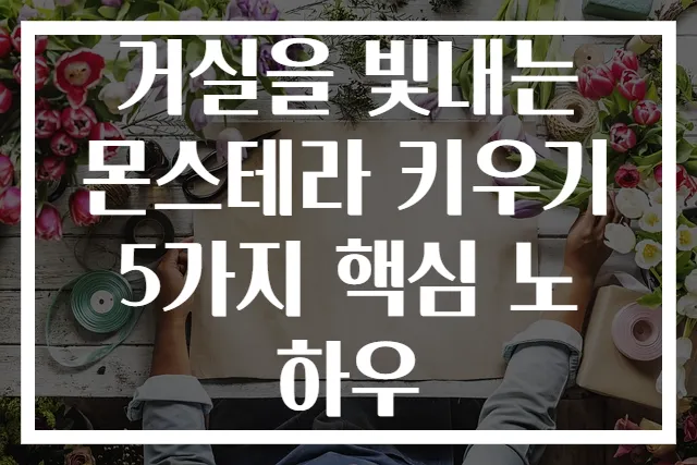 거실을 빛내는 몬스테라 키우기 5가지 핵심 노하우
