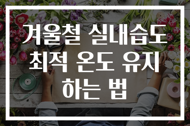 겨울철 실내습도 최적 온도 유지하는 법