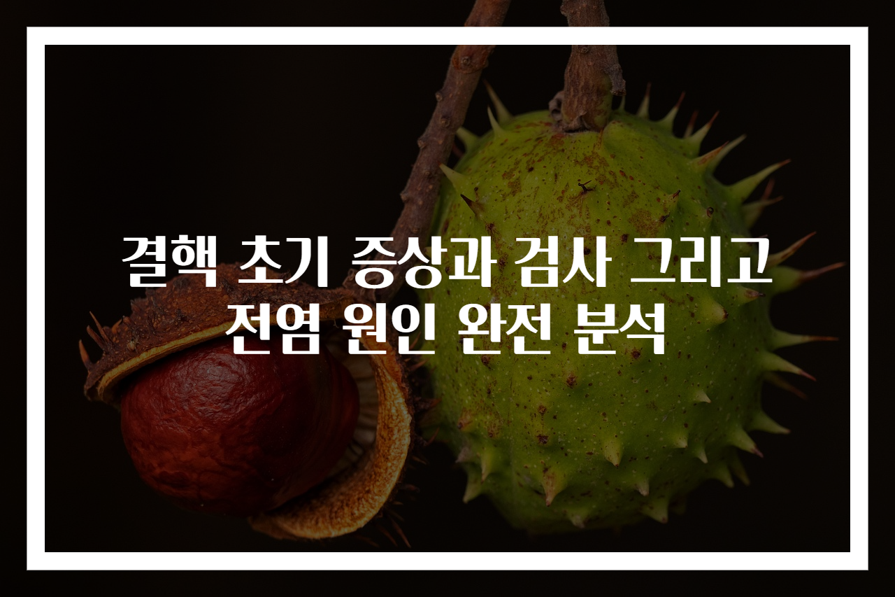 결핵 초기 증상과 검사 그리고 전염 원인 완전 분석