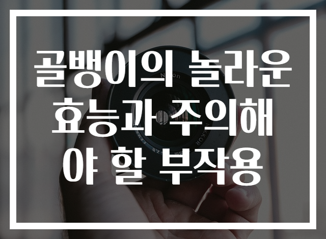 골뱅이의 놀라운 효능과 주의해야 할 부작용