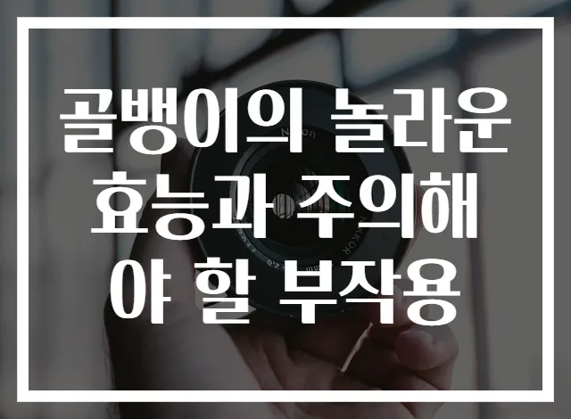 골뱅이의 놀라운 효능과 주의해야 할 부작용