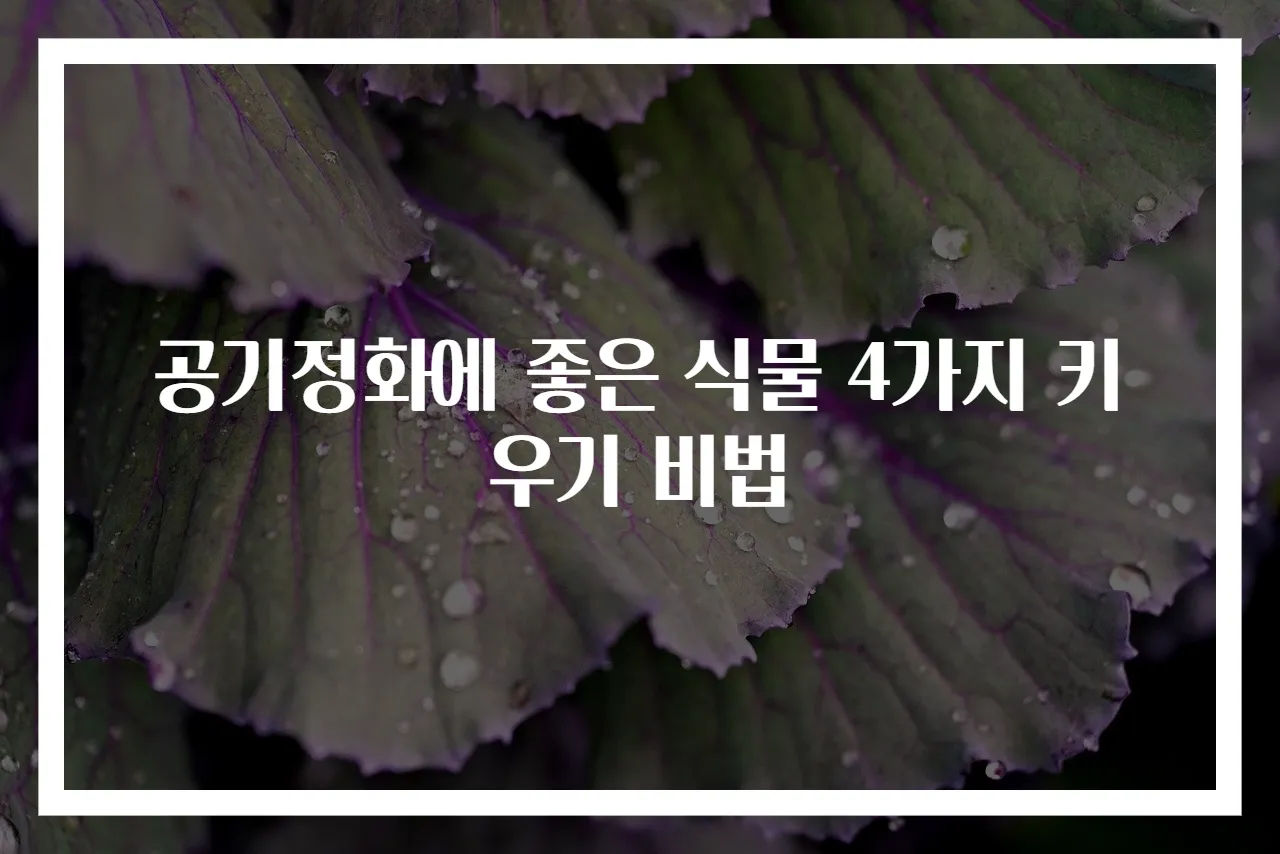 공기정화에 좋은 식물 4가지 키우기 비법