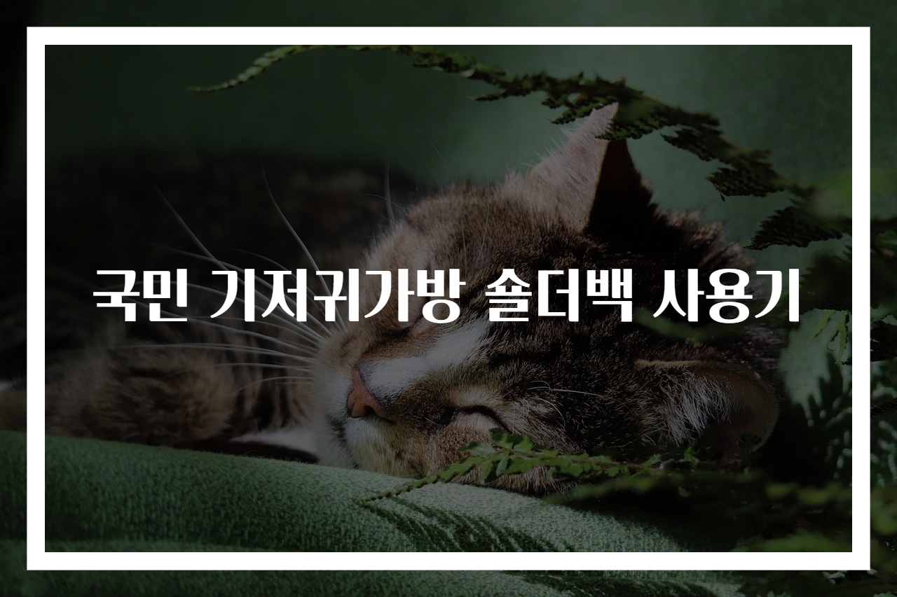 국민 기저귀가방 숄더백 사용기
