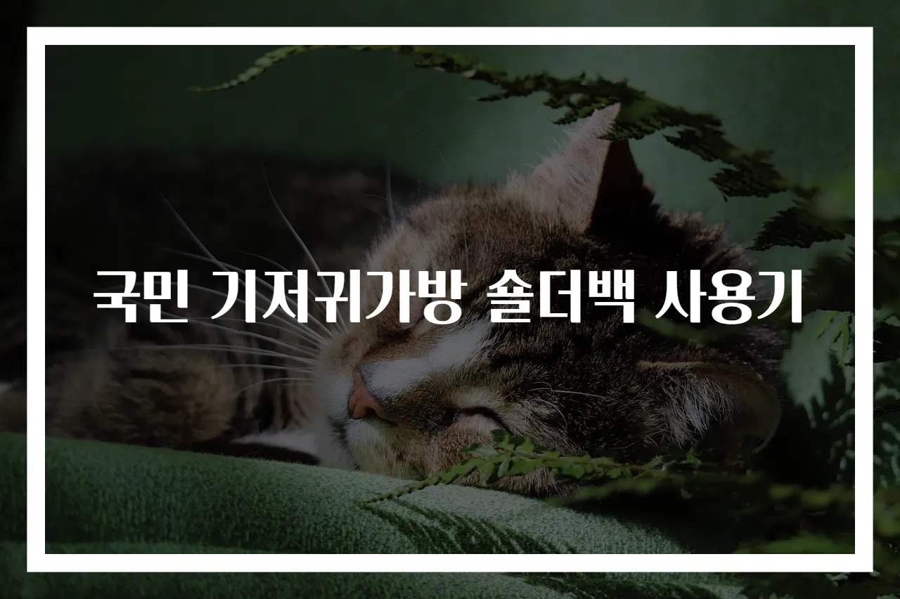 국민 기저귀가방 숄더백 사용기