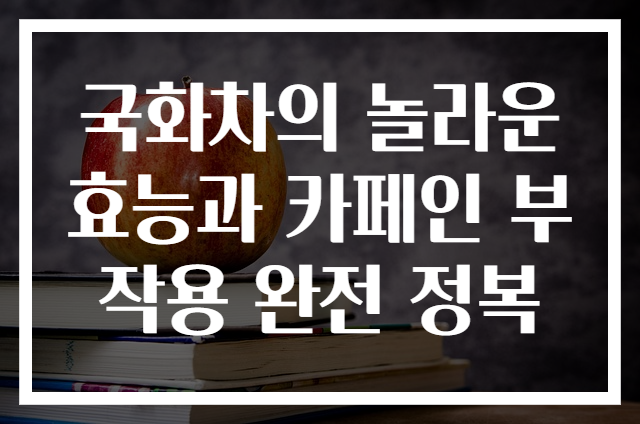 국화차의 놀라운 효능과 카페인 부작용 완전 정복