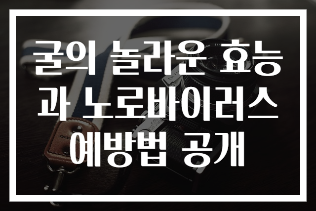 굴의 놀라운 효능과 노로바이러스 예방법 공개