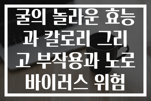 굴의 놀라운 효능과 칼로리 그리고 부작용과 노로바이러스 위험