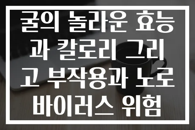굴의 놀라운 효능과 칼로리 그리고 부작용과 노로바이러스 위험