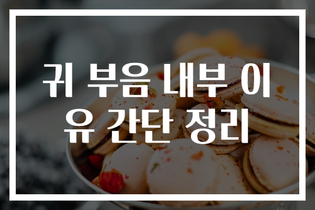 귀 부음 내부 이유 간단 정리