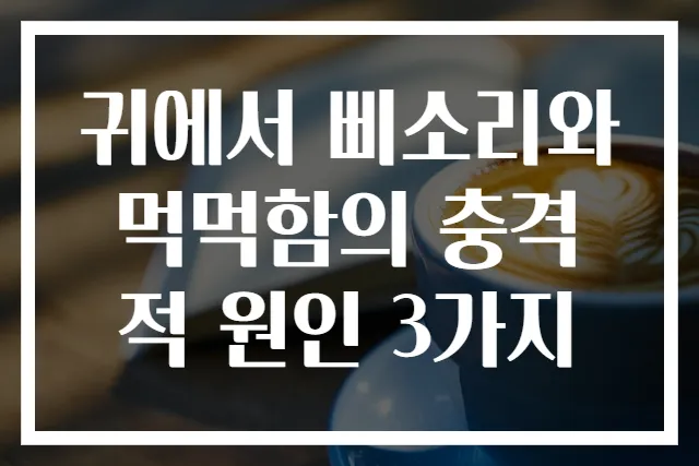 귀에서 삐소리와 먹먹함의 충격적 원인 3가지
