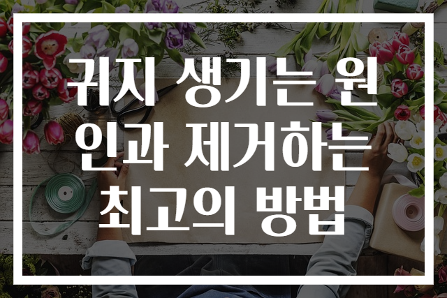 귀지 생기는 원인과 제거하는 최고의 방법