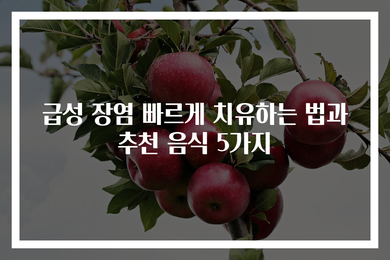 급성 장염 빠르게 치유하는 법과 추천 음식 5가지