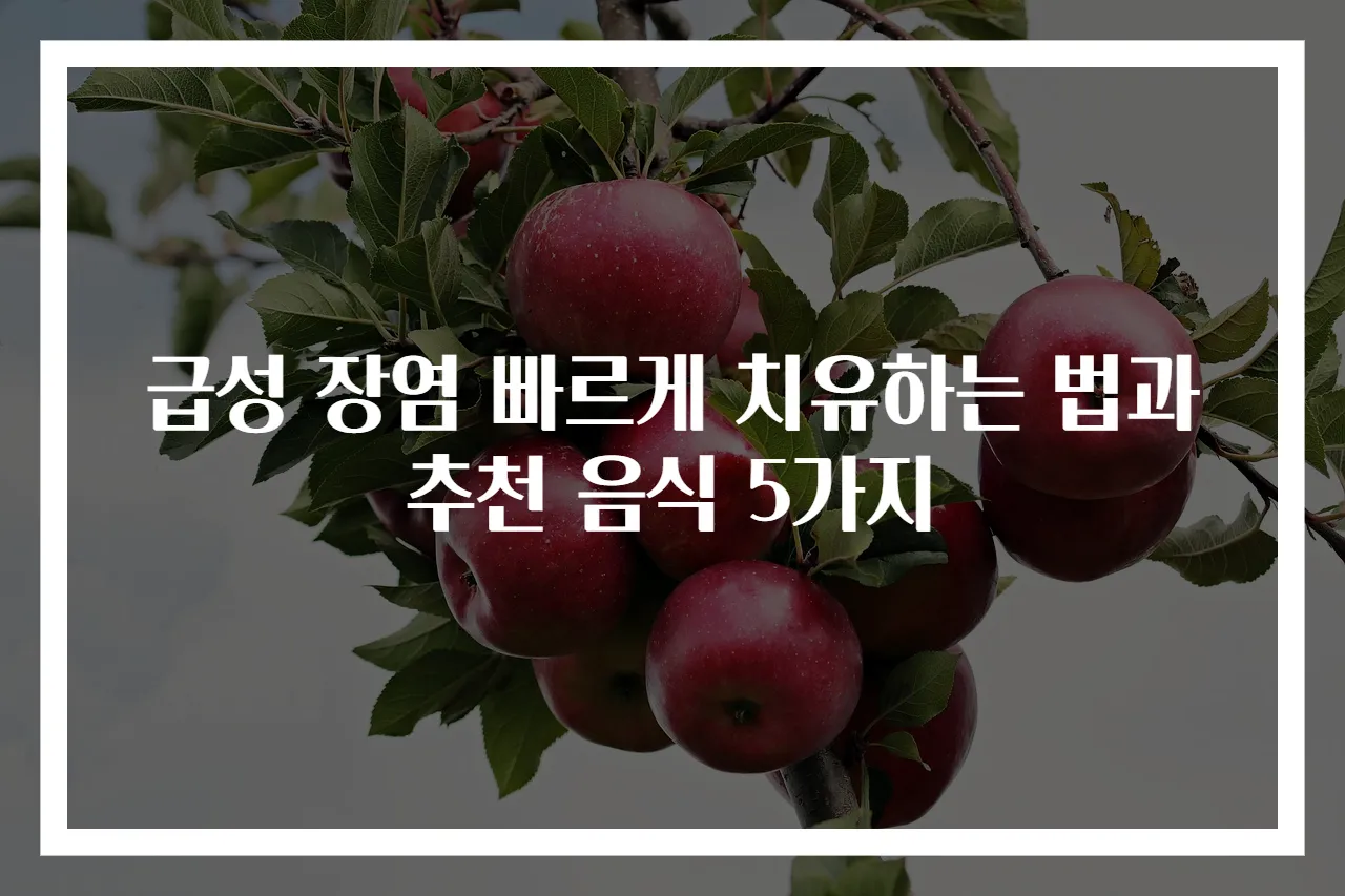 급성 장염 빠르게 치유하는 법과 추천 음식 5가지
