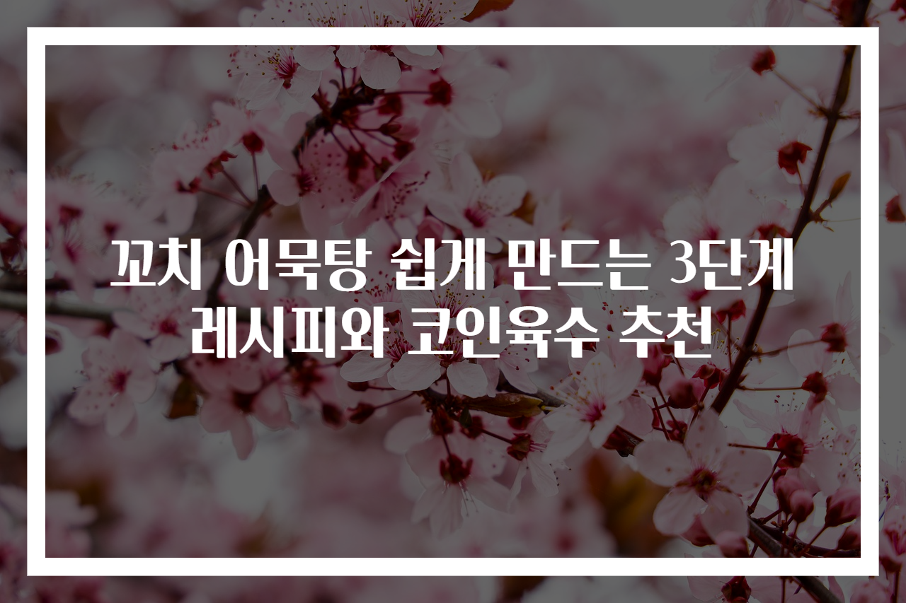 꼬치 어묵탕 쉽게 만드는 3단계 레시피와 코인육수 추천