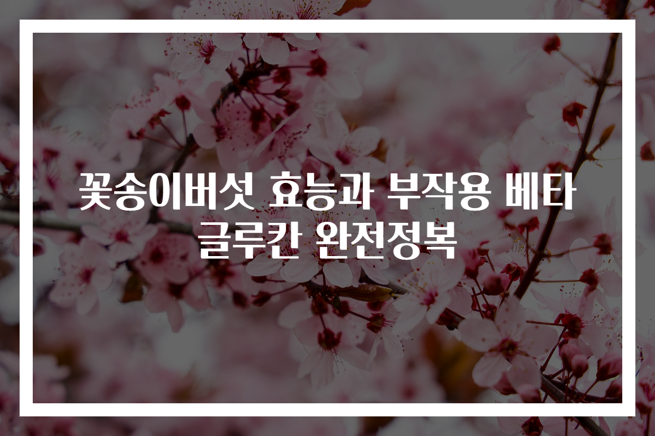 꽃송이버섯 효능과 부작용 베타글루칸 완전정복