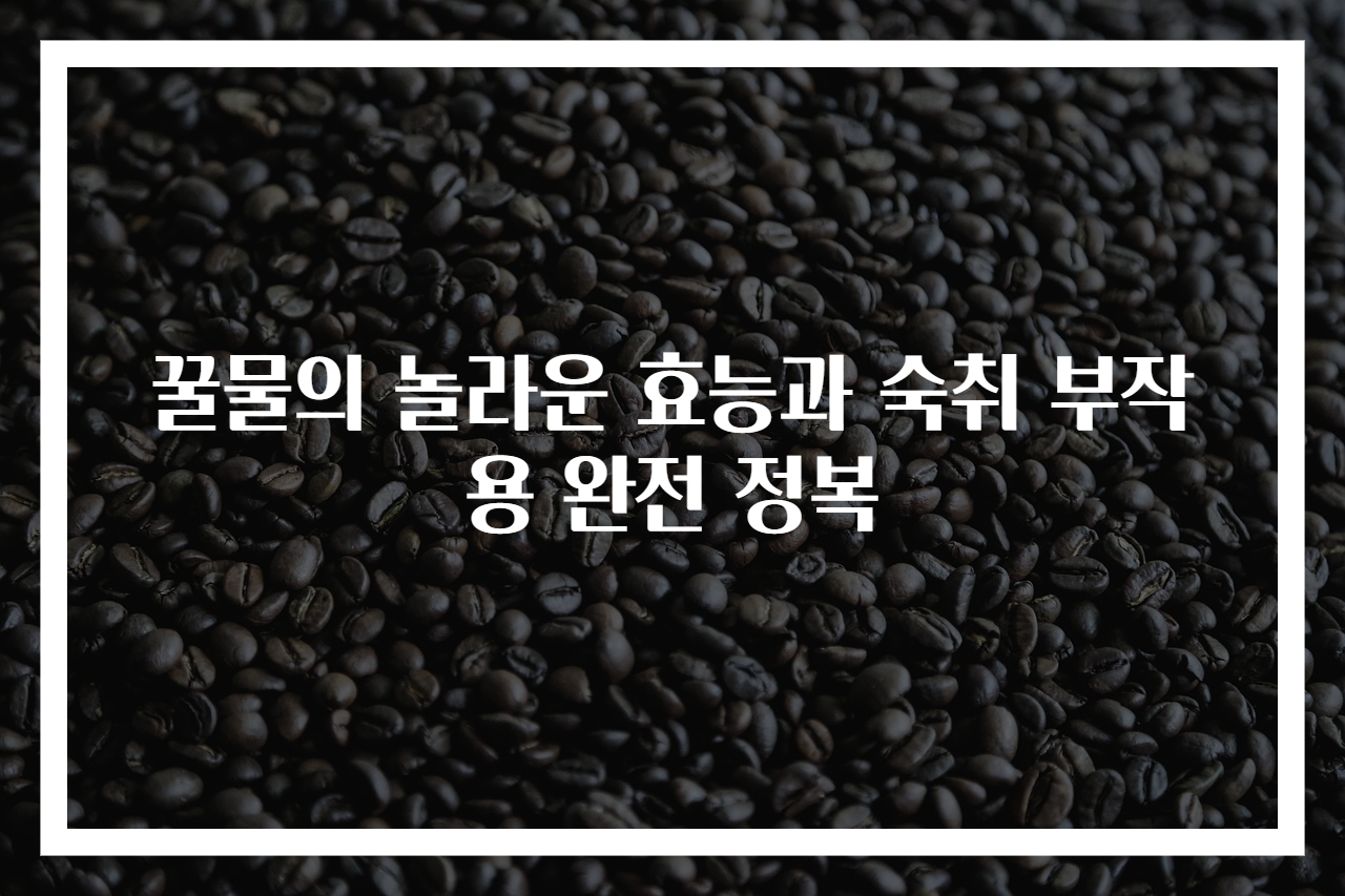 꿀물의 놀라운 효능과 숙취 부작용 완전 정복