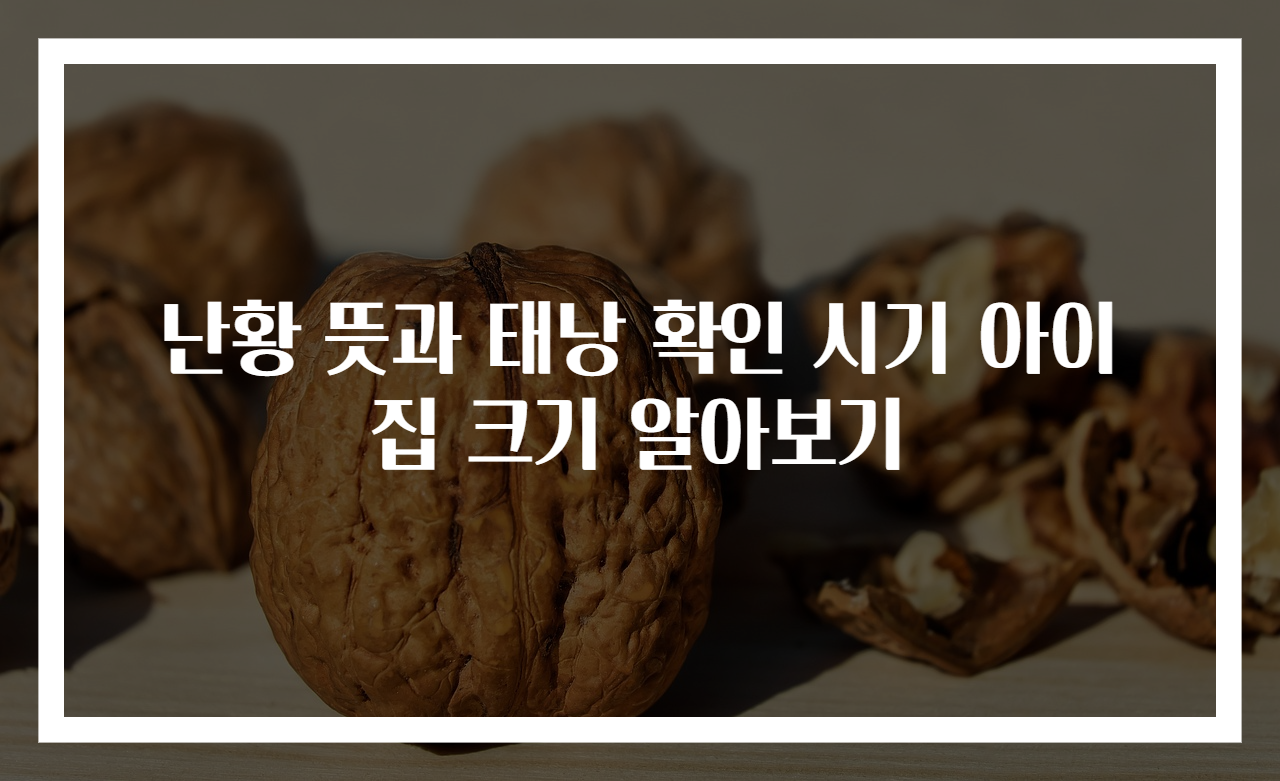 난황 뜻과 태낭 확인 시기 아이집 크기 알아보기
