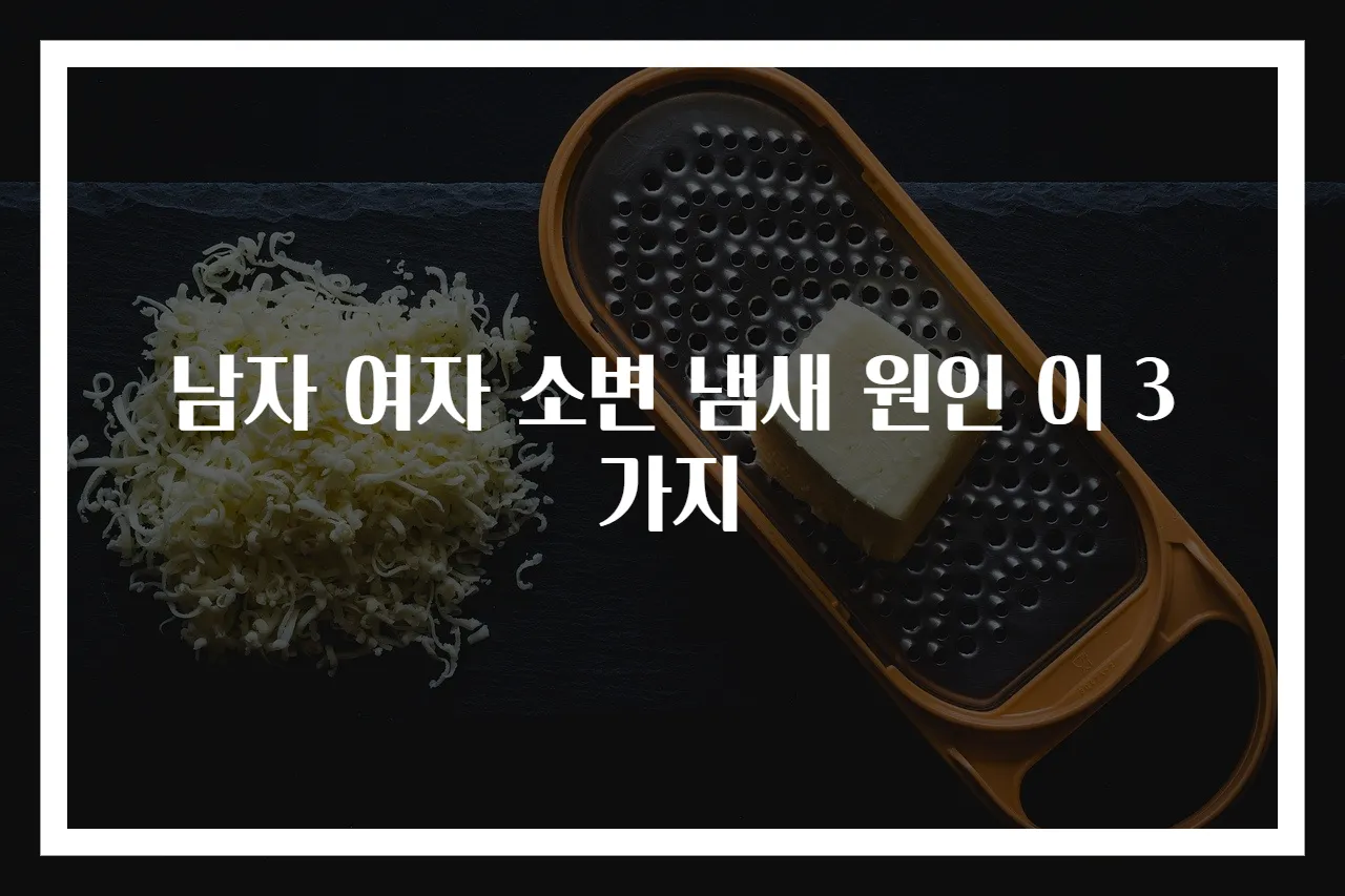남자 여자 소변 냄새 원인 이 3가지