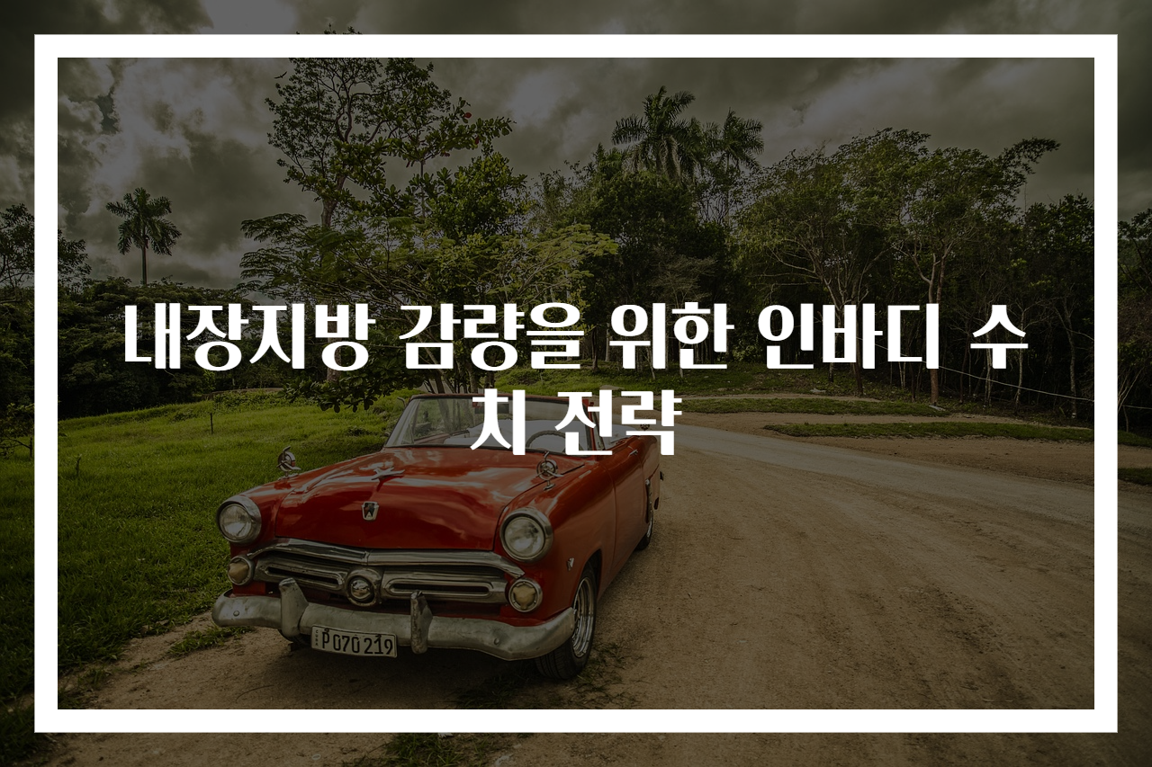 내장지방 감량을 위한 인바디 수치 전략