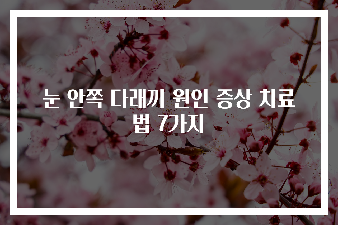 눈 안쪽 다래끼 원인 증상 치료법 7가지