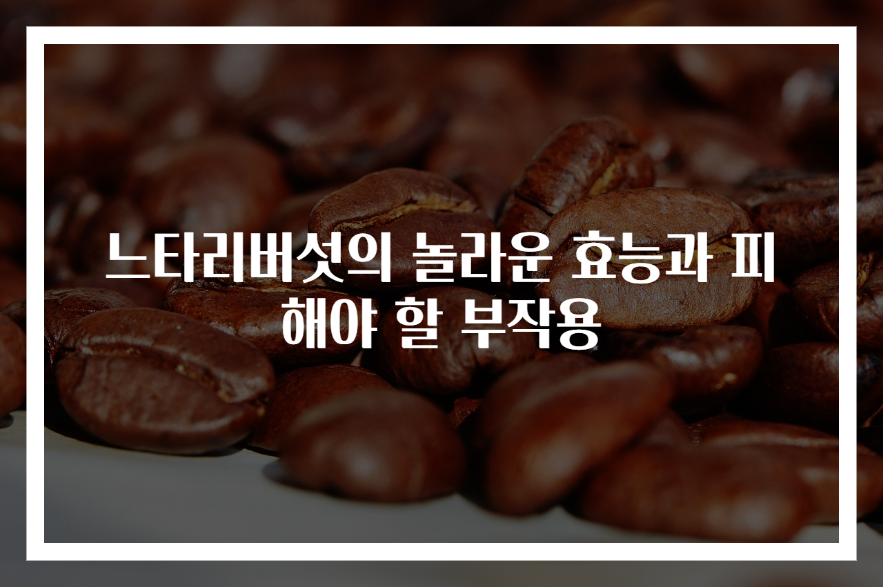 느타리버섯의 놀라운 효능과 피해야 할 부작용