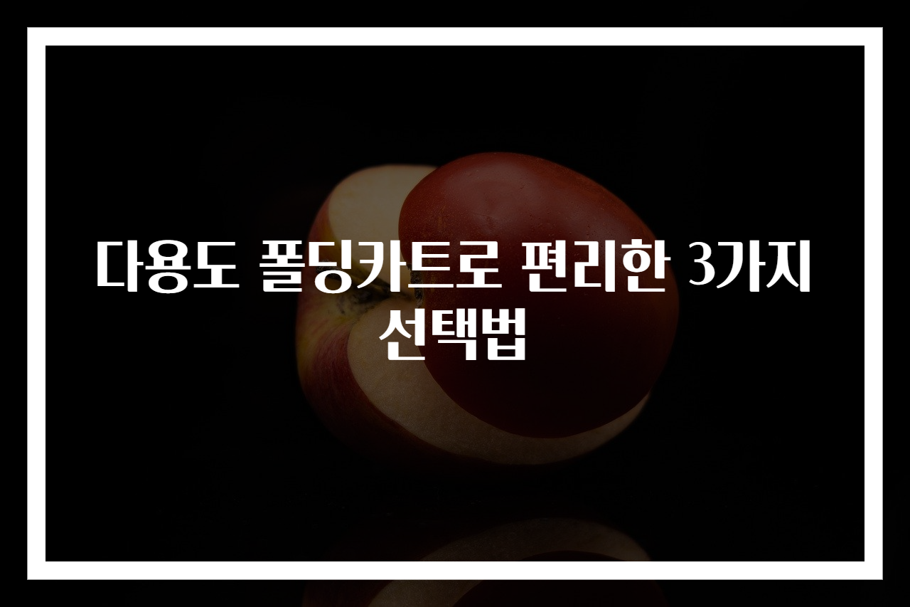 다용도 폴딩카트로 편리한 3가지 선택법
