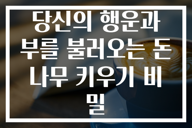 당신의 행운과 부를 불러오는 돈나무 키우기 비밀