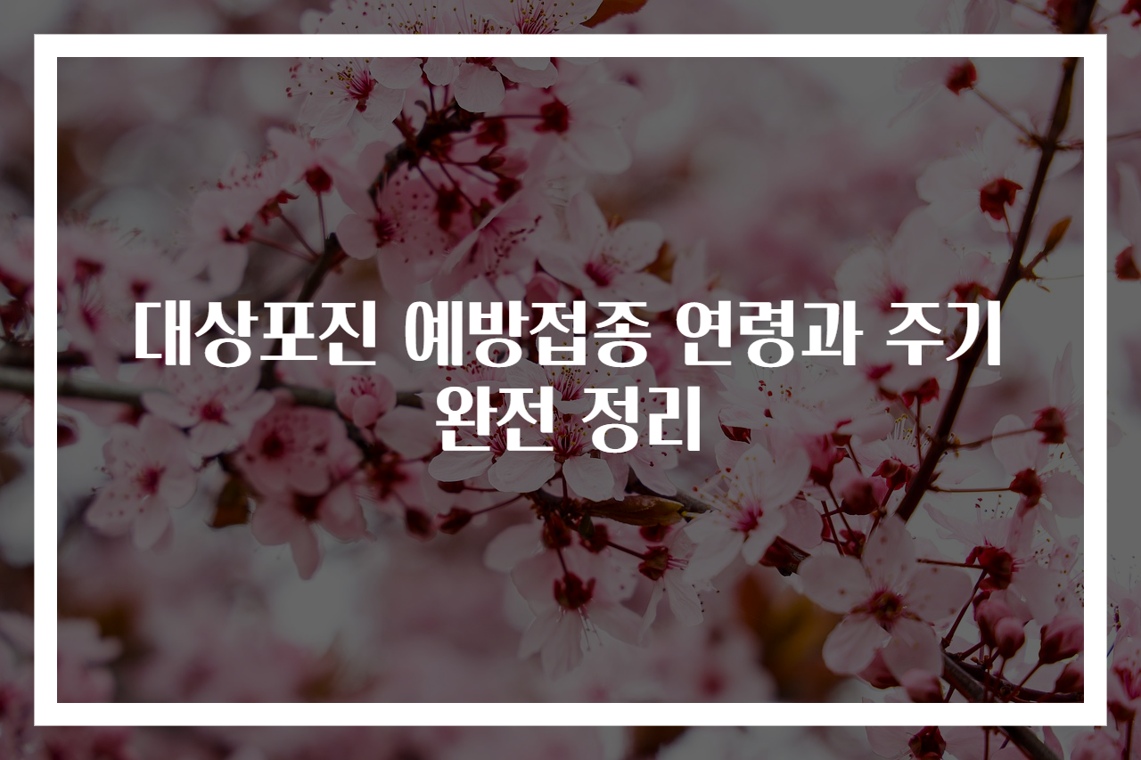 대상포진 예방접종 연령과 주기 완전 정리