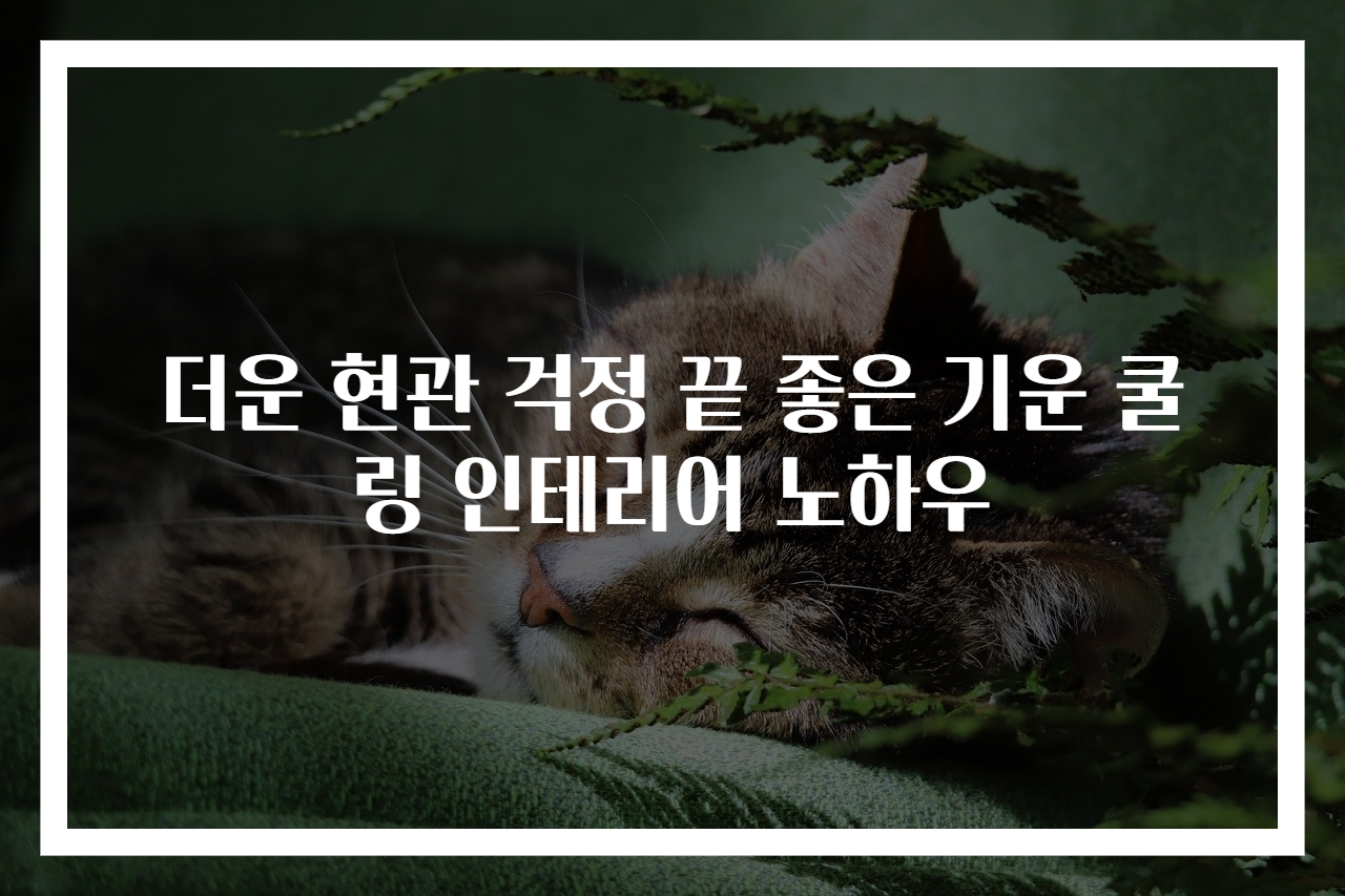 더운 현관 걱정 끝 좋은 기운 쿨링 인테리어 노하우