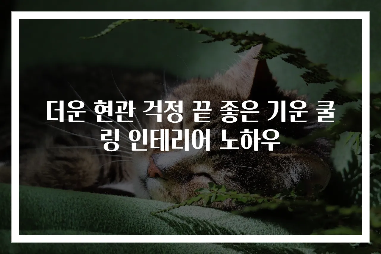 더운 현관 걱정 끝 좋은 기운 쿨링 인테리어 노하우
