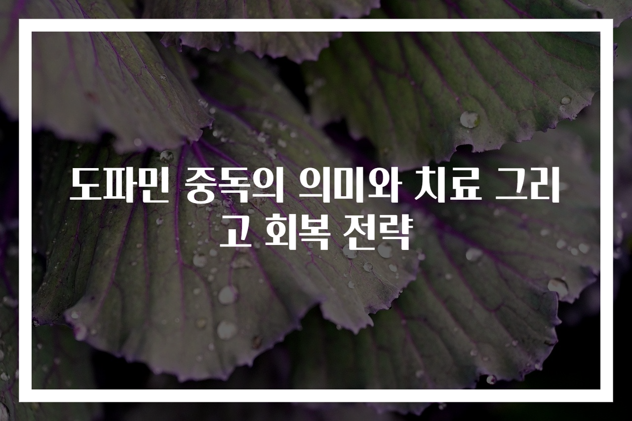 도파민 중독의 의미와 치료 그리고 회복 전략