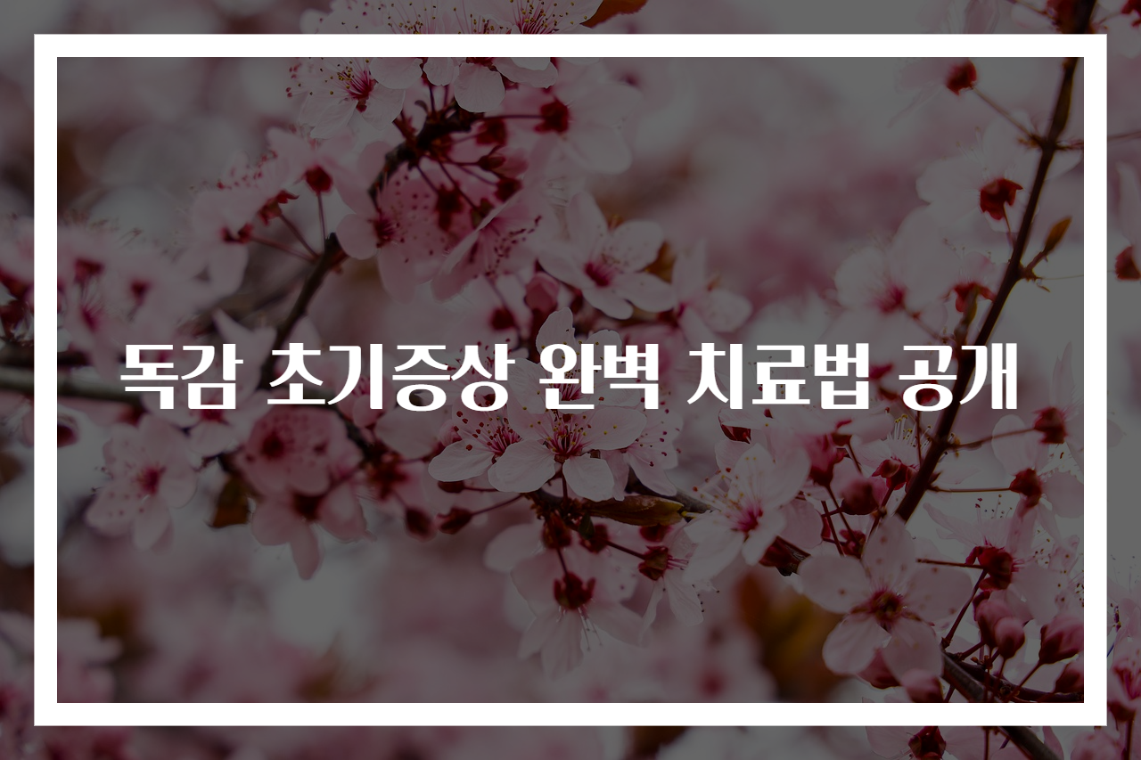 독감 초기증상 완벽 치료법 공개
