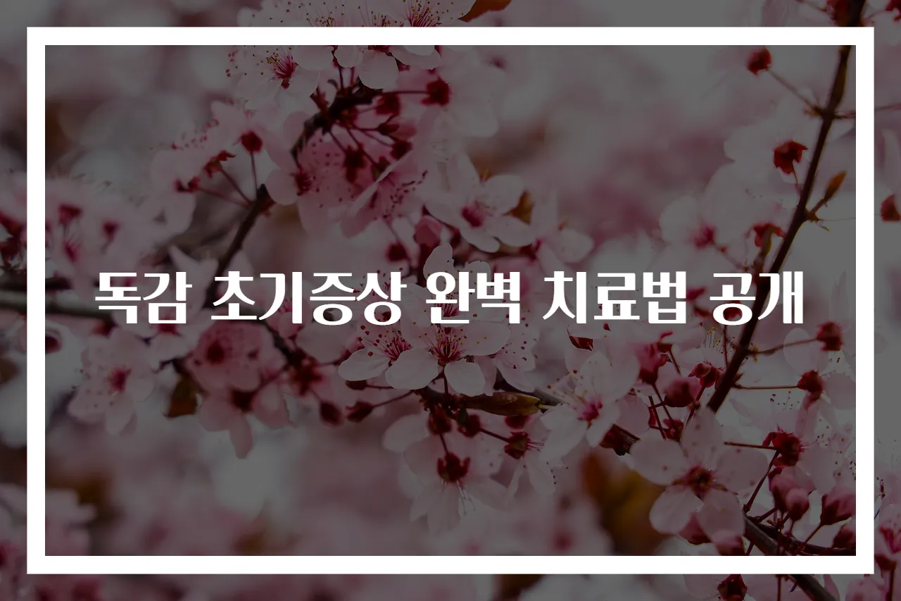 독감 초기증상 완벽 치료법 공개