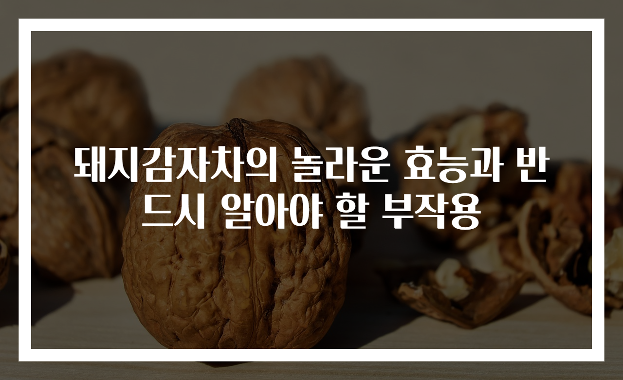 돼지감자차의 놀라운 효능과 반드시 알아야 할 부작용