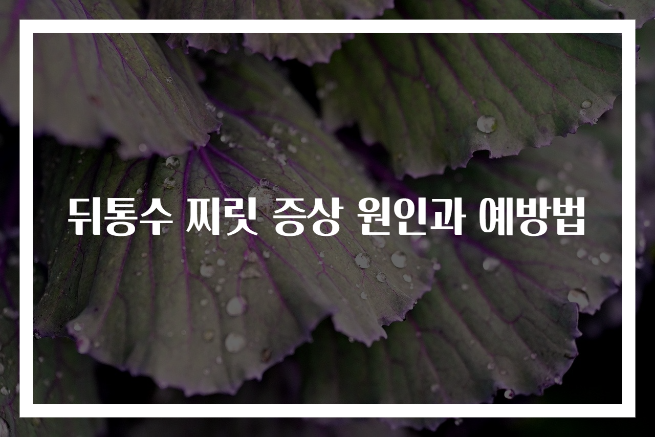 뒤통수 찌릿 증상 원인과 예방법