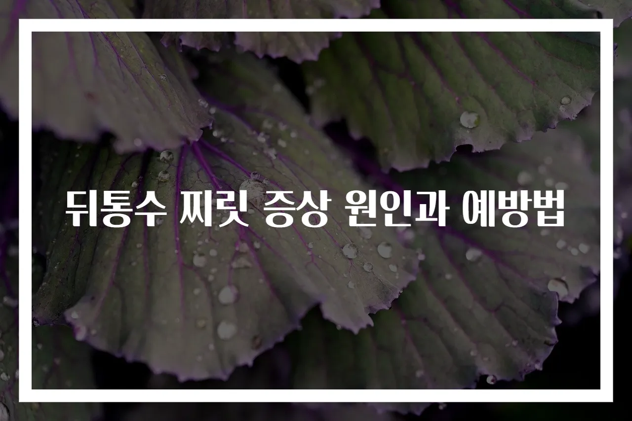 뒤통수 찌릿 증상 원인과 예방법