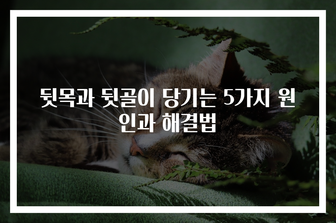 뒷목과 뒷골이 당기는 5가지 원인과 해결법