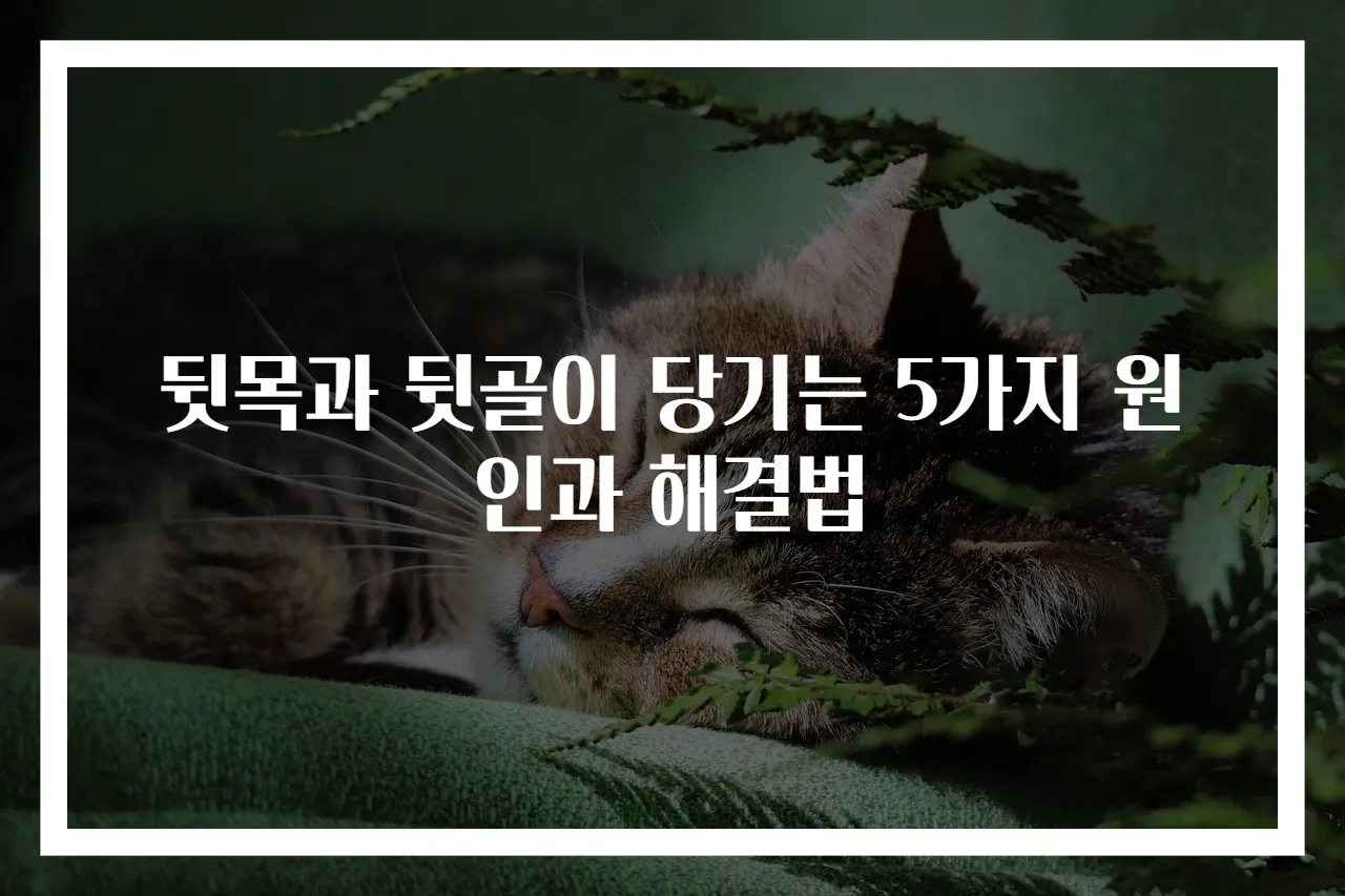 뒷목과 뒷골이 당기는 5가지 원인과 해결법