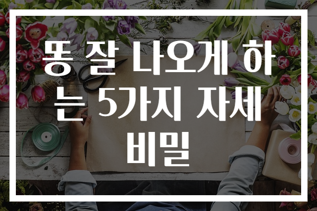 똥 잘 나오게 하는 5가지 자세 비밀