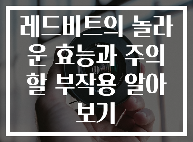 레드비트의 놀라운 효능과 주의할 부작용 알아보기