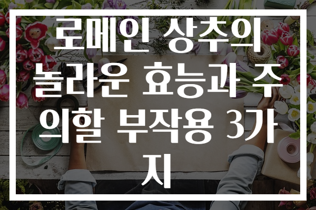 로메인 상추의 놀라운 효능과 주의할 부작용 3가지
