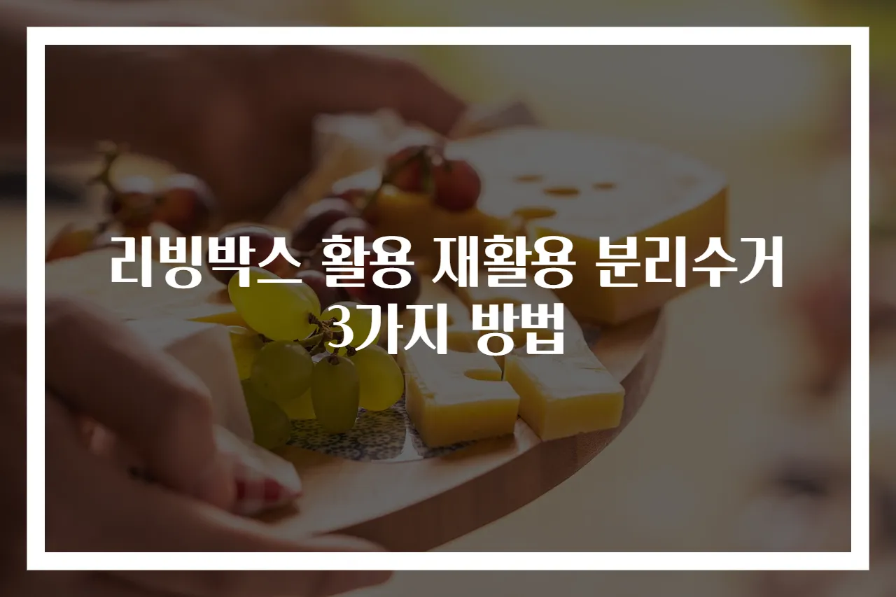 리빙박스 활용 재활용 분리수거 3가지 방법