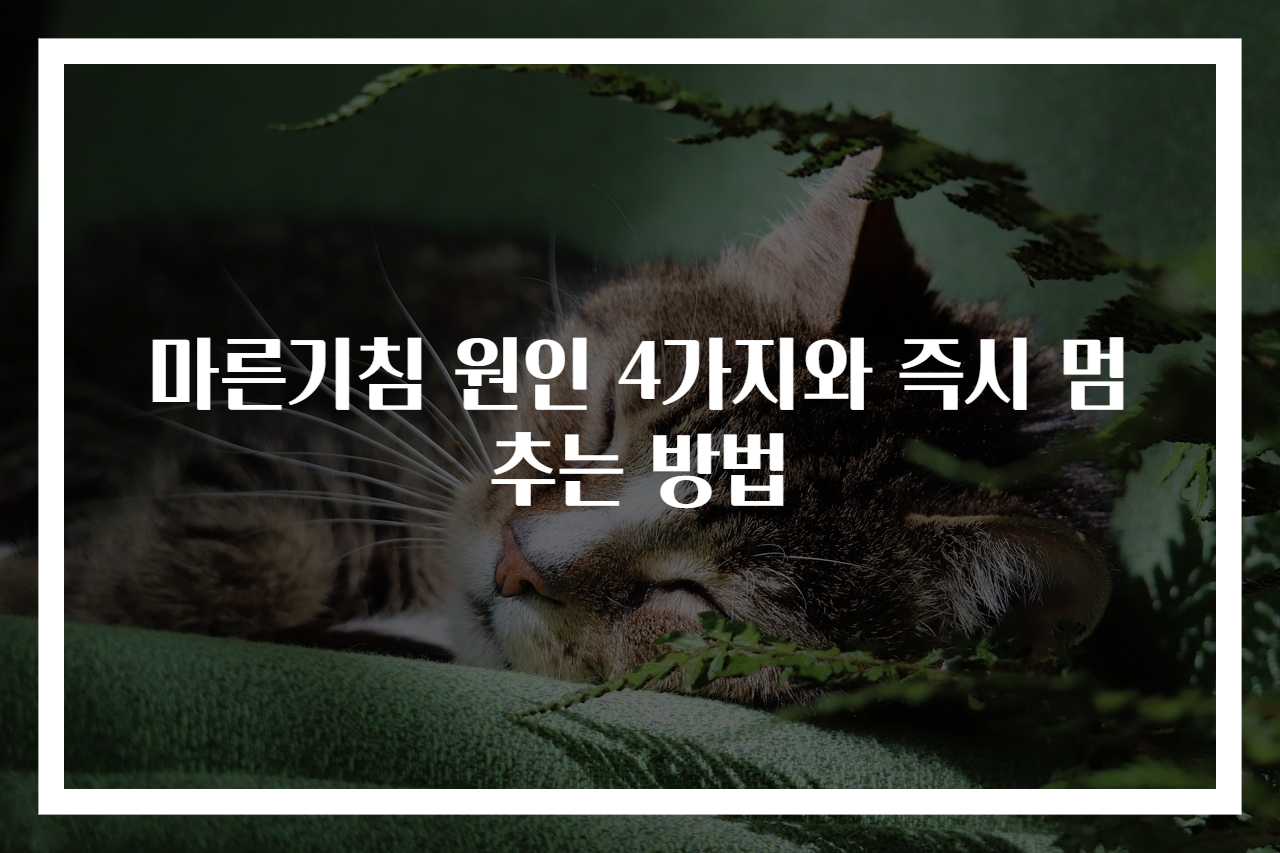 마른기침 원인 4가지와 즉시 멈추는 방법