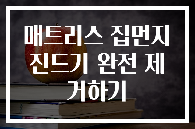 매트리스 집먼지 진드기 완전 제거하기